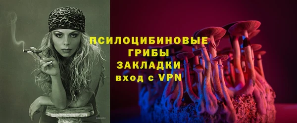 амф Липки