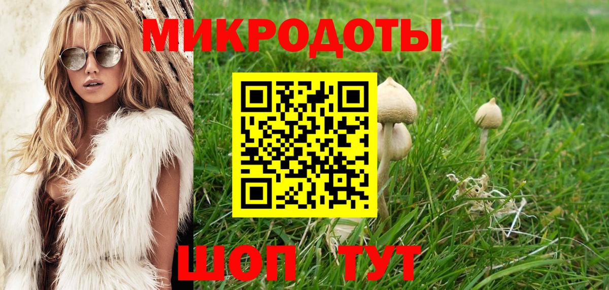 Псилоцибиновые грибы Psilocybe Красный Сулин