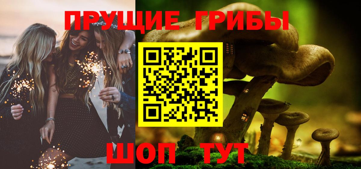 Псилоцибиновые грибы GOLDEN TEACHER  Вход с VPN  Красный Сулин 